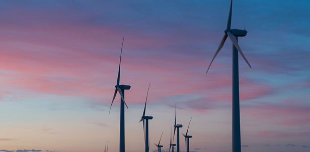 ������Ѷ