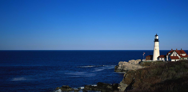 ��ϵ����